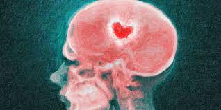 el amor en el cerebro