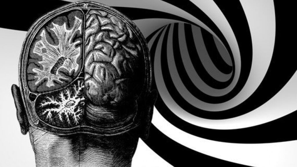 ¿Qué es la esquizofrenia? ¿Cuál es el papel del psicólogo?