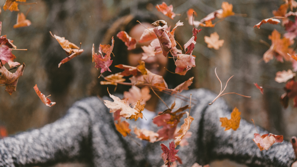 Otoño y gratitud en el trabajo: Lecciones para tu día a día