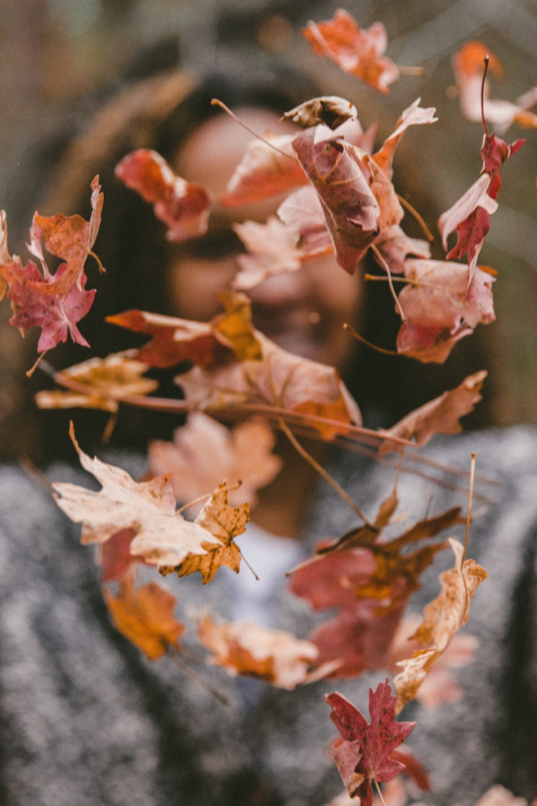 Otoño y gratitud en el trabajo: Lecciones para tu día a día